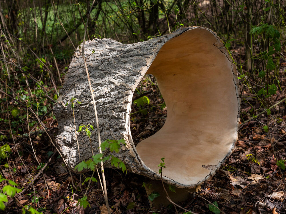 62c59a3cb782102eb7e185f2_08 (1)